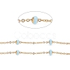 Ion Plating(IP) Stainless Steel Satellite Chains CHS-I006-03G-C-1