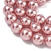 Electroplated Shell Pearl Beads Strands BSHE-G041-14mm-05-3