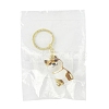 Iron Plastic Keychains LS-KEYC-FZC0001-001B-G-8