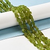 Raw Rough Natural Peridot Beads Strands G-I283-G07-02-2