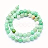 Natural Chrysoprase Beads Strands G-O166-03-10mm-2
