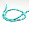Natural Magnesite Beads Strands TURQ-P027-69-8mm-3