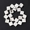 Natural Howlite Beads Strands G-L239-14-4