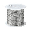 Non-Tarnish 316 Surgical Stainless Steel Wire TWIR-L004-01E-P-1