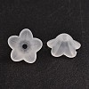 Transparent Acrylic Beads PL560-1