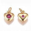 Brass Micro Pave Cubic Zirconia Charms ZIRC-G168-58G-02-2