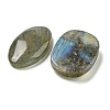 Natural Labradorite Cabochons G-Q191-03-2