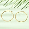 201 Stainless Steel Hoop Earrings SA-CBA4A0D-16G-F-2