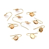 304 Stainless Steel Earring Hooks STAS-F271-01A-G-1