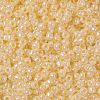 TOHO 8/0 Round Beads SEED-XTR08-0901-2