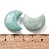 Natural Amazonite Beads G-T147-01A-15-3