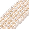 Natural Cultured Freshwater Pearl Beads Strands PEAR-E016-066-1