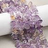 Natural Ametrine Beads Strands G-P622-A02-02-1