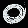 Natural Trochid Shell/Trochus Shell Beads Strands X-SSHEL-S266-021A-01-2