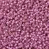 MIYUKI Round Rocailles Beads SEED-G007-RR0645-3