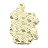 Zinc Alloy Enamel Pendants ENAM-Q502-01LG-04-2