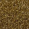MIYUKI Delica Beads X-SEED-J020-DB0909-4