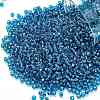 TOHO 11/0 Round Beads X-SEED-TR11-0023C-1