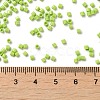Opaque Glass Seed Beads SEED-S042-22B-03-4