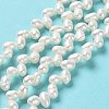 Natural Cultured Freshwater Pearl Beads Strands PEAR-J007-41-2