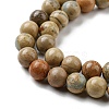 Natural Aqua Terra Jasper Beads Strands G-E444-14B-10mm-3