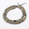 Natural Labradorite Beads Strands G-P322-33-4mm-2