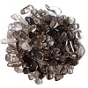 Natural  Smoky Quartz Tumbled Chips PW-WGA7DCE-22-1