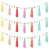 Wool Felt Ball Tassel Garland Banner DIY-WH20011-28A-1