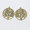 Tibetan Style Zinc Alloy Pendants TIBEP-EA11591YKG-AB-FF-1