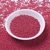 MIYUKI Round Rocailles Beads SEED-X0054-RR0141FR-2