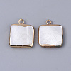 Edge Plated Freshwater Shell Pendants SHEL-S276-38-2