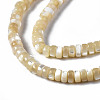 Natural Trochid Shell/Trochus Shell Beads Strands SSHEL-S266-019B-01-3