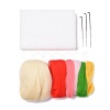 Strawberry Needle Felting Kit DIY-I091-02-2