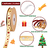 3 Rolls 3 Colors Polyester Ribbons OCOR-NB0001-56-2