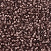 MIYUKI Delica Beads X-SEED-J020-DB2183-3