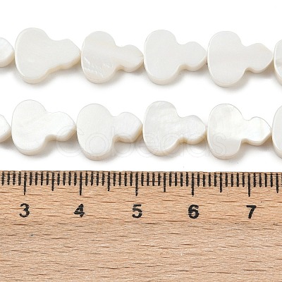Natural Freshwater Shell Beads Strands SHEL-K010-02B-1