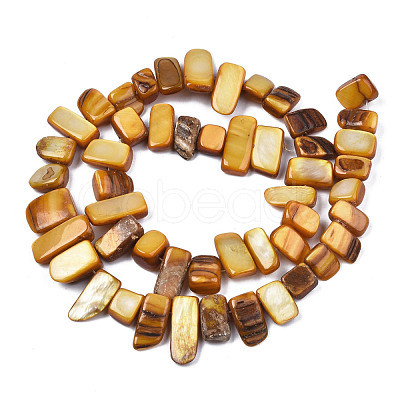 Natural Trochid Shell/Trochus Shell Beads Strands SHEL-S258-082-B09-1