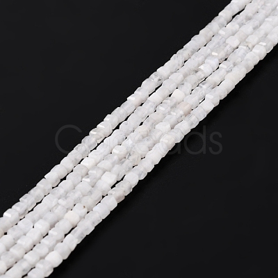 Natural Rainbow Moonstone Beads Strands G-K315-B08-1