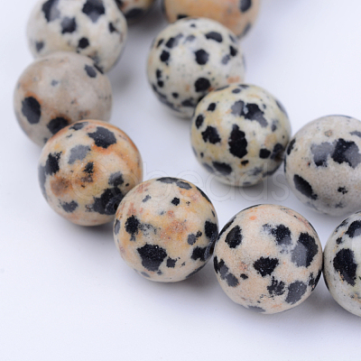 Natural Dalmatian Jasper Beads Strands X-G-Q462-10mm-30-1