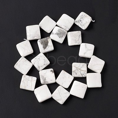 Natural Howlite Beads Strands G-L239-14-1