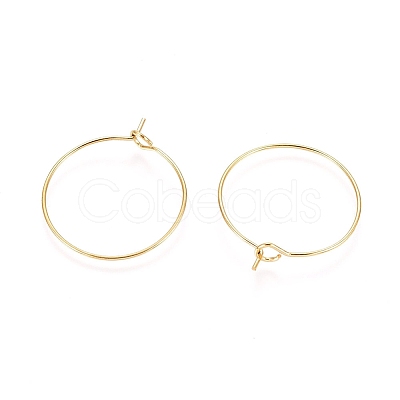 Ion Plating(IP) 316L Surgical Stainless Steel Hoop Earring Findings STAS-D164-06G-1