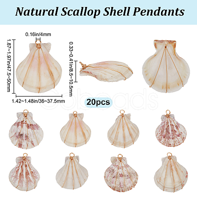 20Pcs Natural Scallop Shell Dyed Pendants FIND-BBC0003-15-1