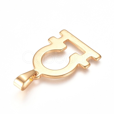 304 Stainless Steel Pendants STAS-L210-06A-G-1