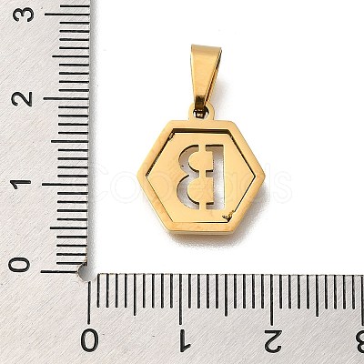 304 Stainless Steel Charms LS-STAS-H227-01G-B-1