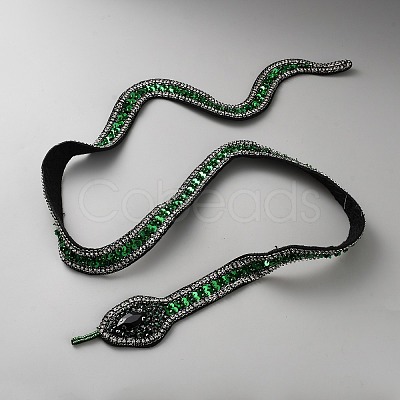 Snake Computerized Embroidery Cloth Iron on/Sew on Patches PATC-WH0002-067A-1