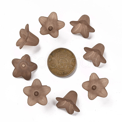 Transparent Acrylic Beads PLF018-14-1