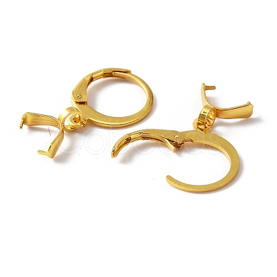 304 Stainless Steel Leverback Earring Finding STAS-WH0022-87G-1