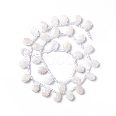 Natural Rainbow Moonstone Beads Strands G-G805-B16-1