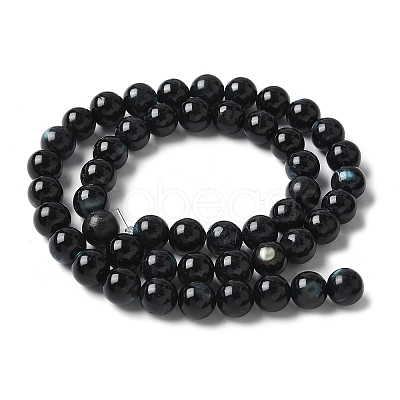 Natural Black Lip Shell Beads Strands SSHEL-C013-01C-1