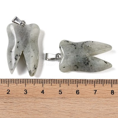 Natural Labradorite Pendants G-G115-01B-1